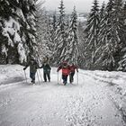 " Wanderung zur Ostpreußenhütte.."