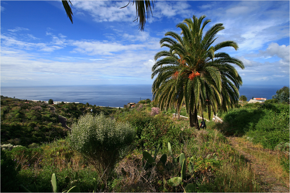 Wanderung zur Playa del Jorado 1