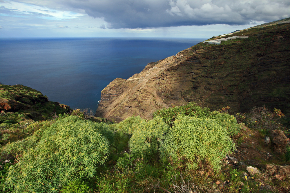 Wanderung zur Playa del Jorado 3