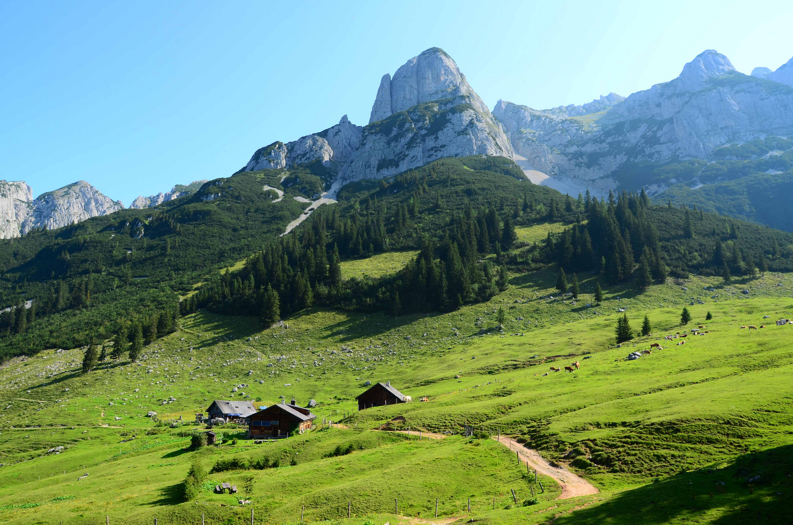 Wanderung zur Stuhlalm in Annaberg - Salzburgerland