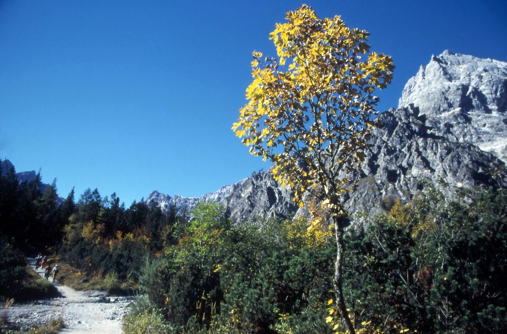 Wanderung zur Wimbach-Grießhütte