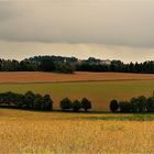 Wanderung zwischen Bärenstein-Rauenstein