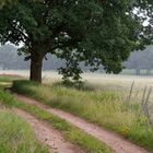 Wanderungen durch die Mark Brandenburg