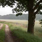 Wanderungen durch die Mark Brandenburg II