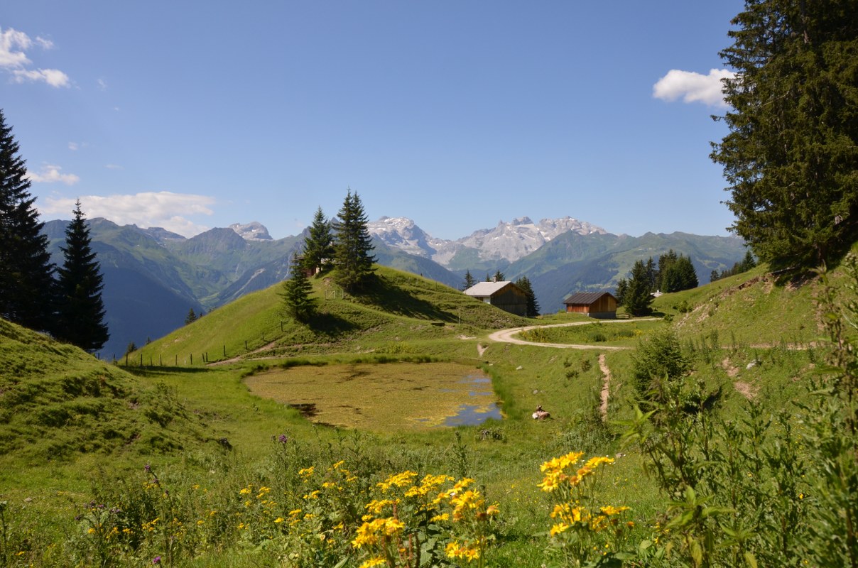 Wanderurlaub im Montafon