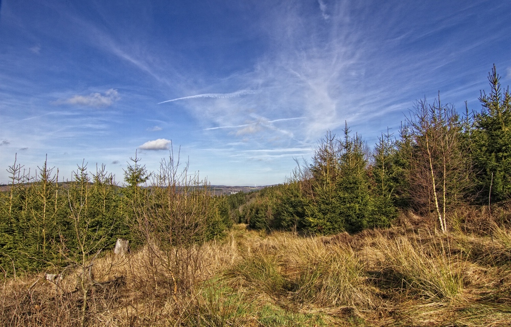 Wandervolles Sauerland IV