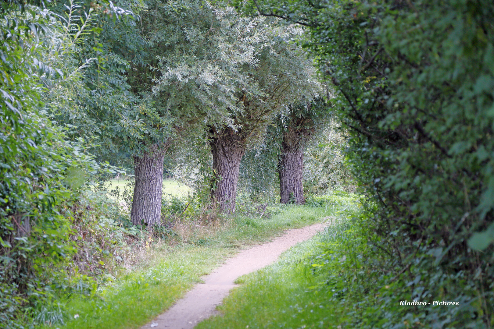 Wanderweg 04