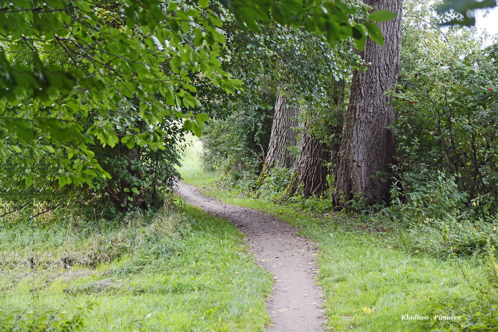 Wanderweg 05