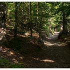 Wanderweg 12