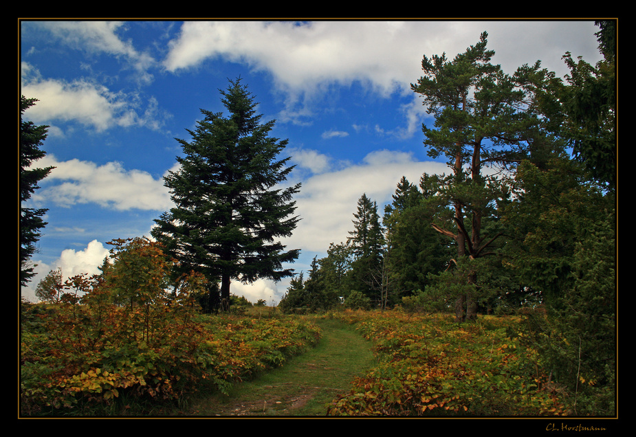 ...Wanderweg...