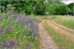 Wanderweg