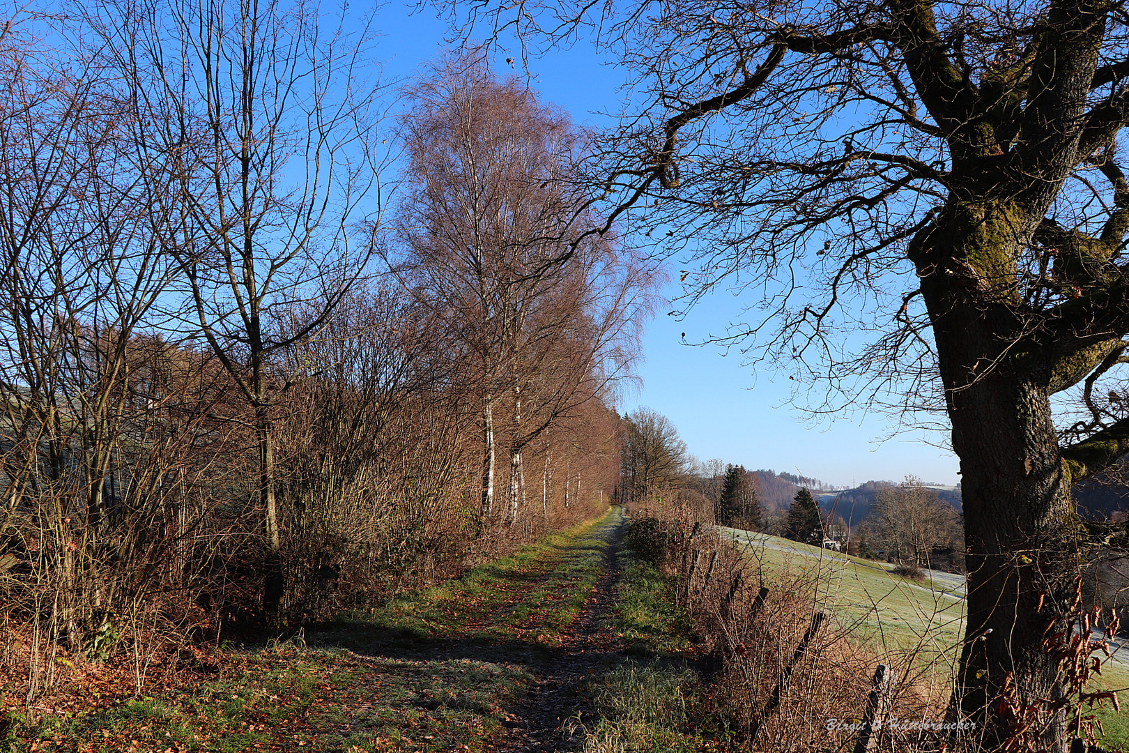 Wanderweg