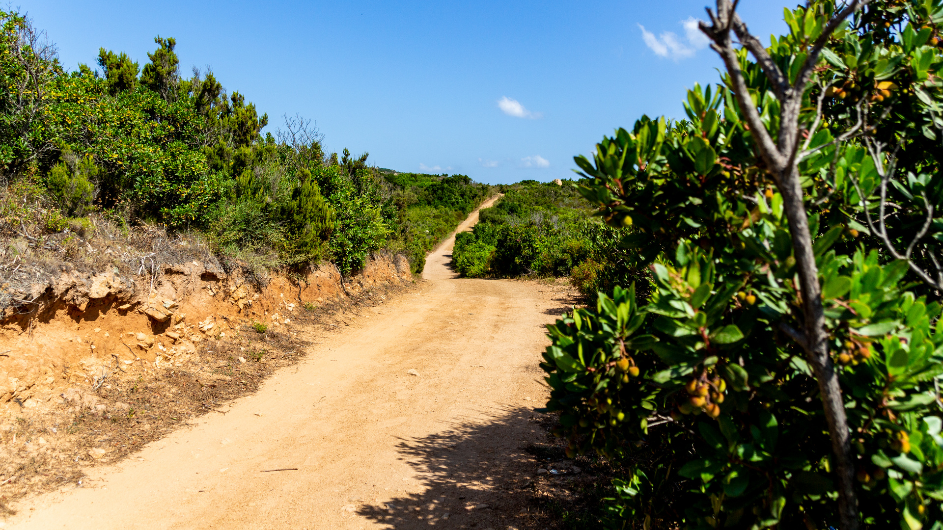 Wanderweg