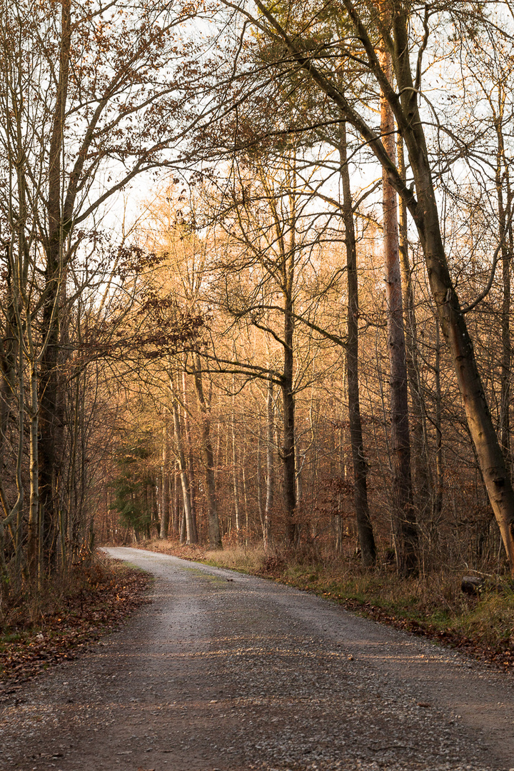 Wanderweg