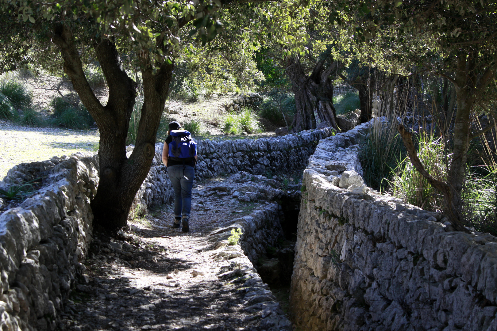 wanderweg