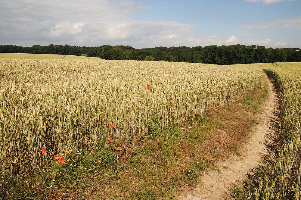 Wanderweg . . .