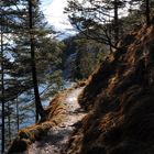 Wanderweg am Achensee