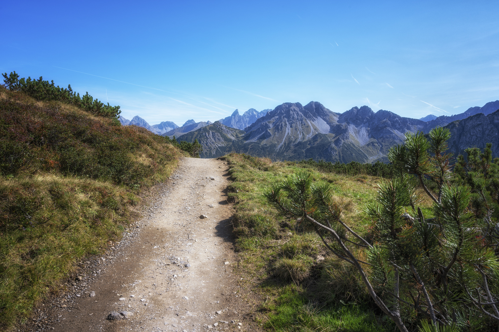 Wanderweg am Fellhorn