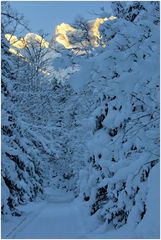 Wanderweg am Gosausee