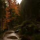 Wanderweg am großen Arbersee