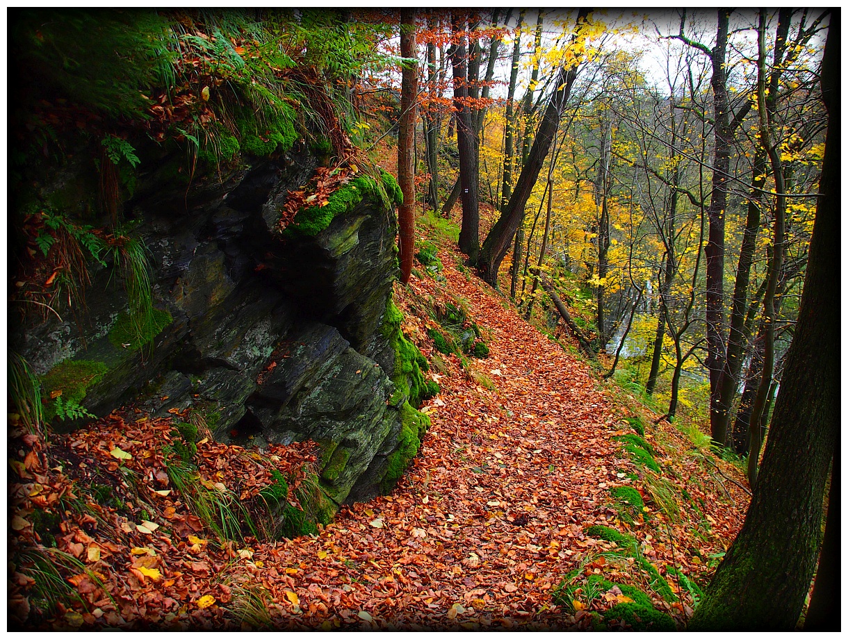 Wanderweg am Hag bei Hirschberg