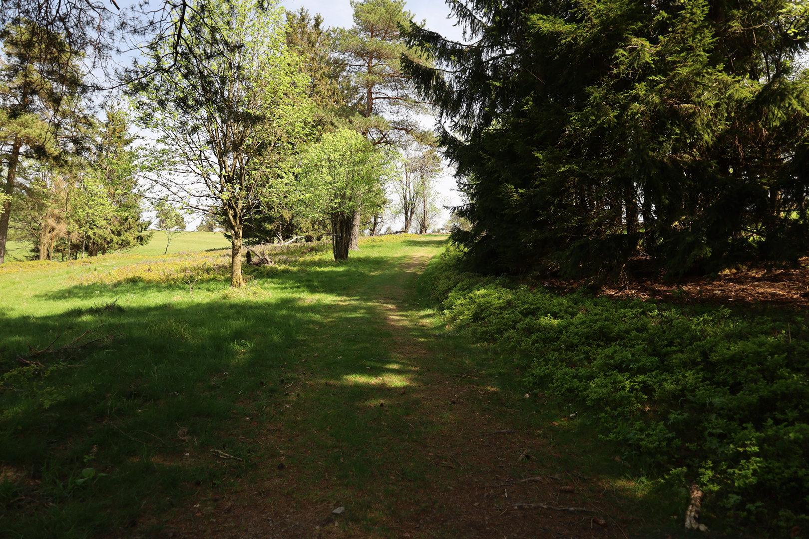 Wanderweg am Kahlen Pön, Rothaargebirge