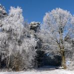 Wanderweg am Krickenbecker See