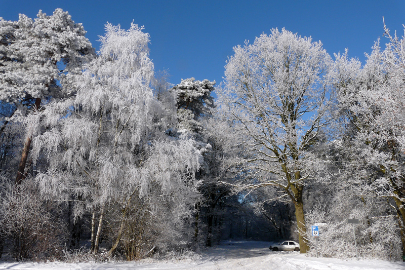 Wanderweg am Krickenbecker See