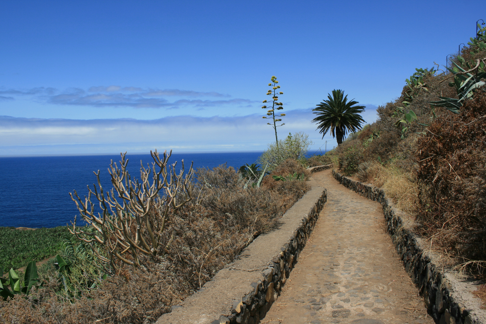 Wanderweg am Mirador de San Pedro