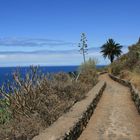 Wanderweg am Mirador de San Pedro