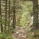 Wanderweg am Mont Ventoux