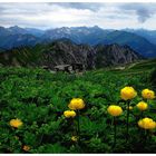 Wanderweg am Nebelhorn