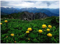 Wanderweg am Nebelhorn