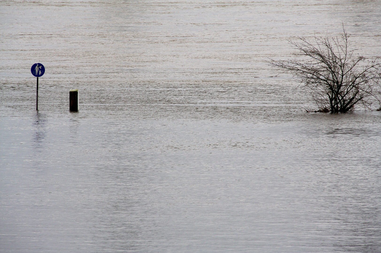 Wanderweg am Rhein