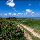 Wanderweg am Watt bei Morsum