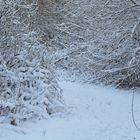 Wanderweg an der Elbe