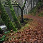 *Wanderweg an der Kleinen Kyll*