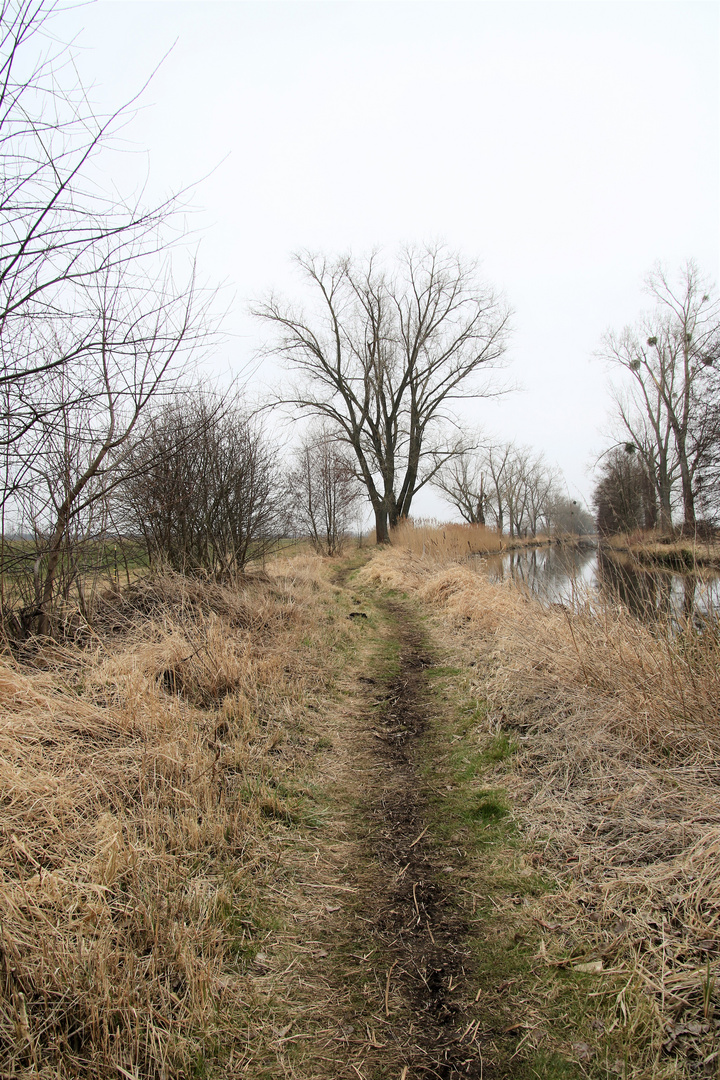 Wanderweg an der Nuthe