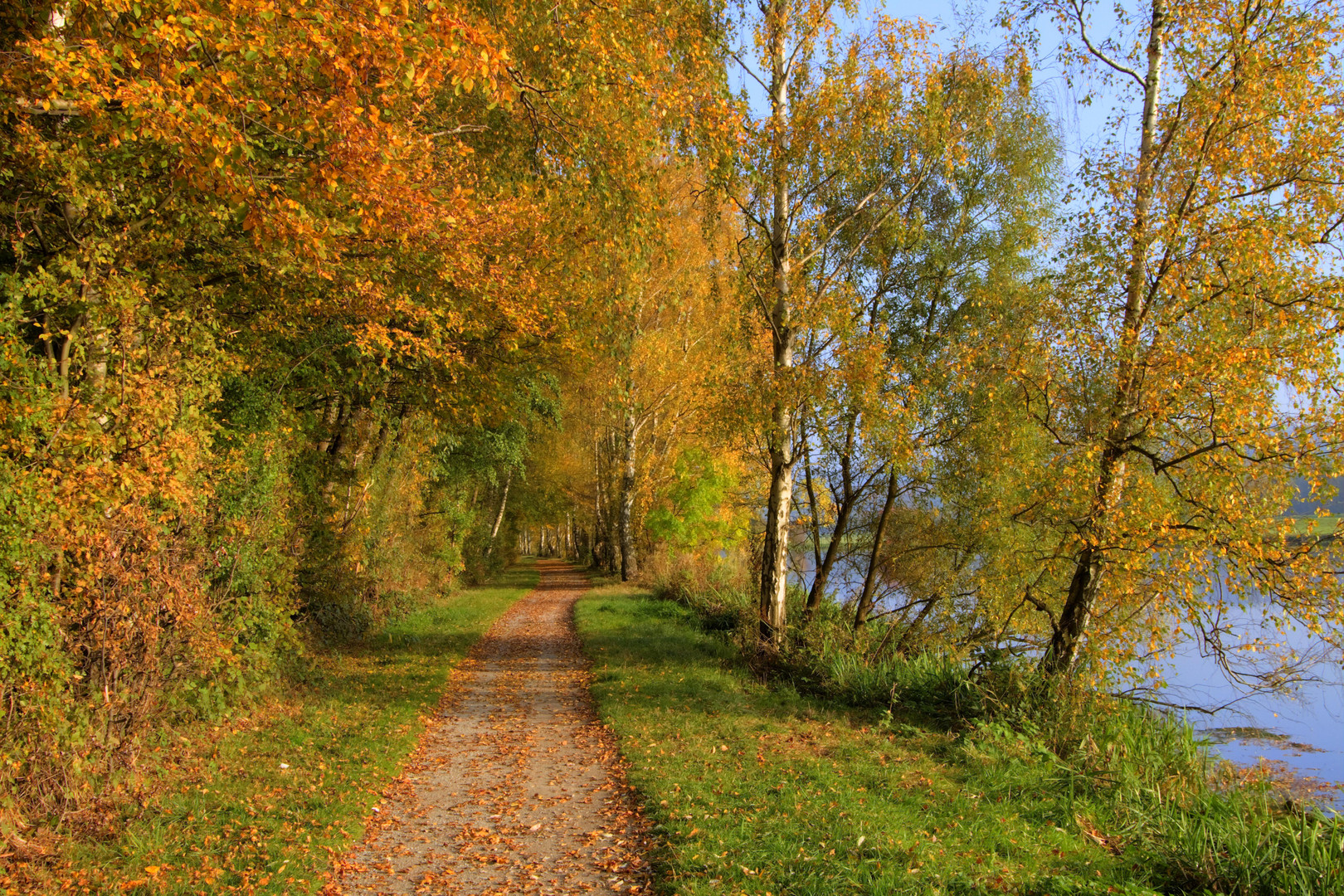 Wanderweg an der Ruhr