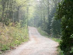 Wanderweg an der Talsperre