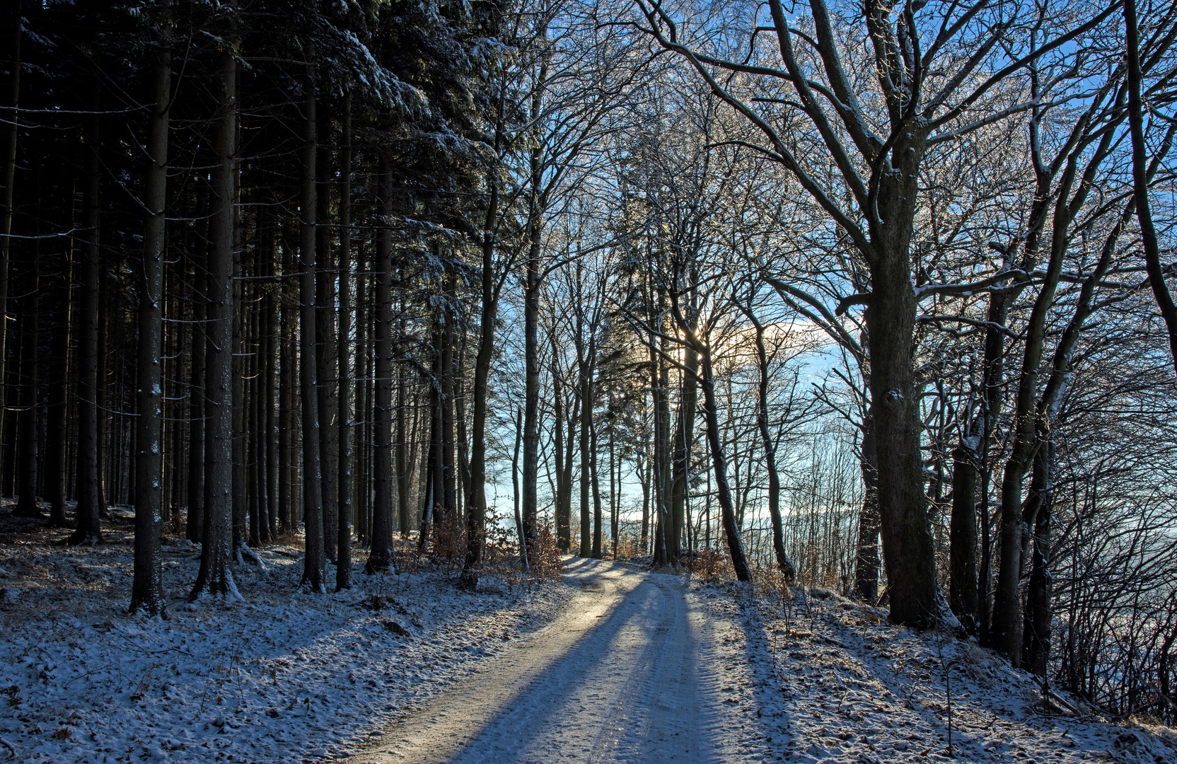 Wanderweg auf dem Kamm Zöblitz Sachsen