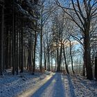 Wanderweg auf dem Kamm Zöblitz Sachsen