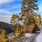 Wanderweg auf dem Kienberg oberhalb Luisenthal