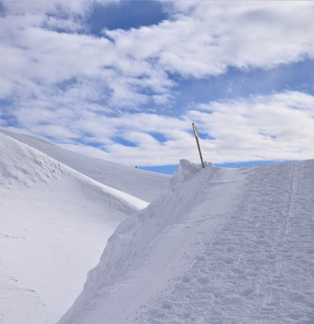 Wanderweg auf dem Nebelhorn !!