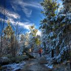 Wanderweg auf dem Ochsenkopf