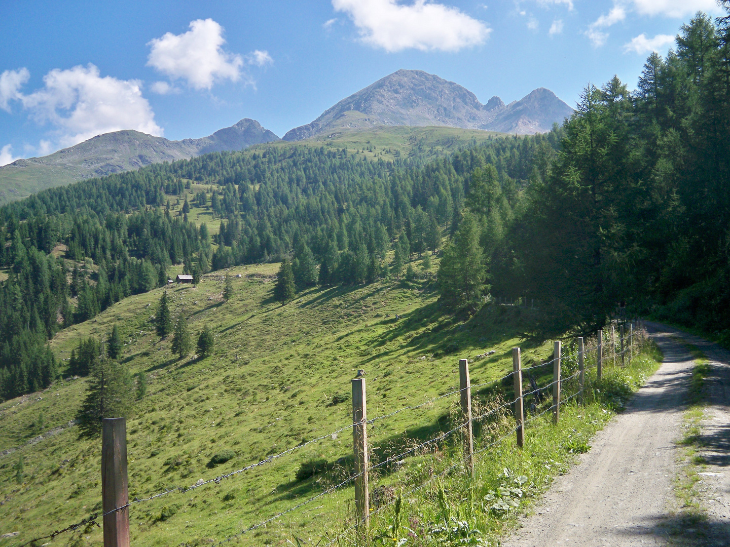 Wanderweg auf den Scharnik (Kreuzeckgruppe)