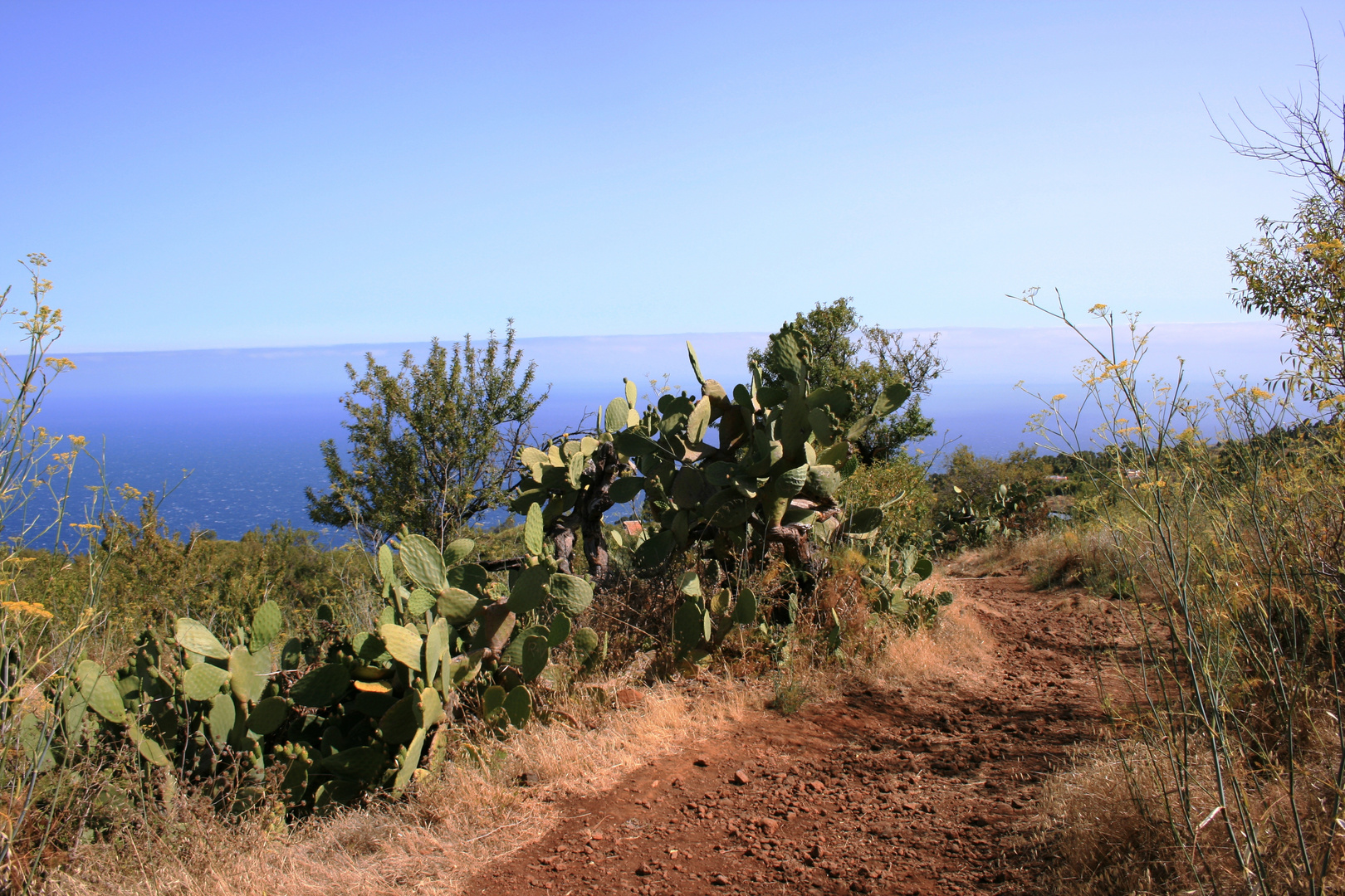 Wanderweg auf La Palma