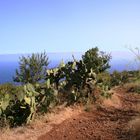 Wanderweg auf La Palma