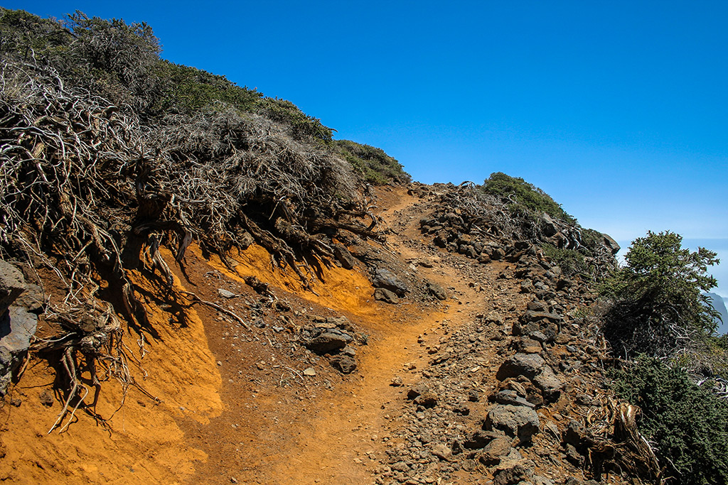 Wanderweg auf La Palma