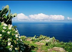 Wanderweg auf La Palma, Nordwestküste